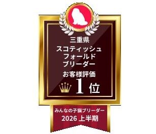 バナーアイコン