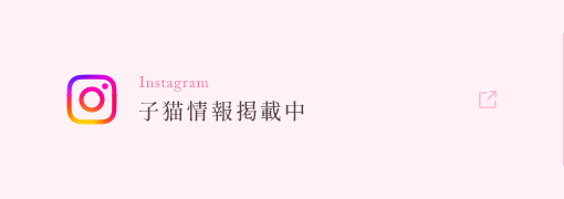 bnrhalf_insta_off